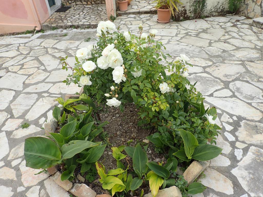 Summer Cottage Σιναράδες Εξωτερικό φωτογραφία